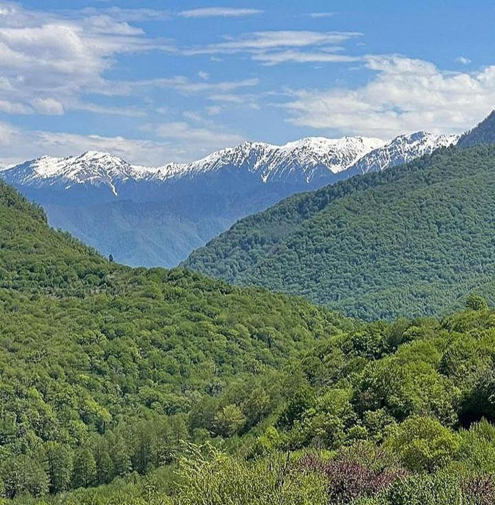 Гостевой Дом "Амза" Bed & Breakfast Tqvarcheli Luaran gambar